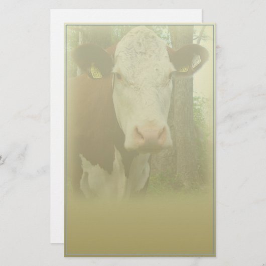 好奇心が強い牛文房具 便箋 (正面/裏面)