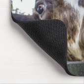 好奇心が強い牛 マウスパッド (コーナー)