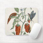 「好奇心が強い草」からのコンフリー、1782年(色の英語 マウスパッド (マウス)