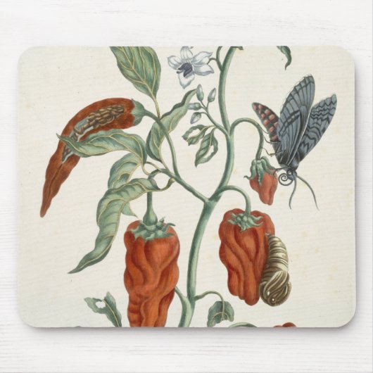 「好奇心が強い草」からのコンフリー、1782年(色の英語 マウスパッド (正面)