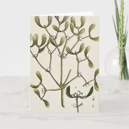 「好奇心が強い草」からのヤドリギ、1782年 シーズンカード (正面)