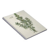 「好奇心が強い草」からのRosmarinus Officinalis、1 ノートブック (右側)