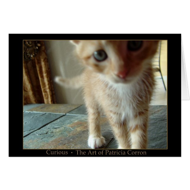 好奇心が強い (正面横)