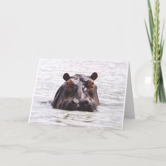 好奇心が強いKeeboko (カバ) カード (正面)