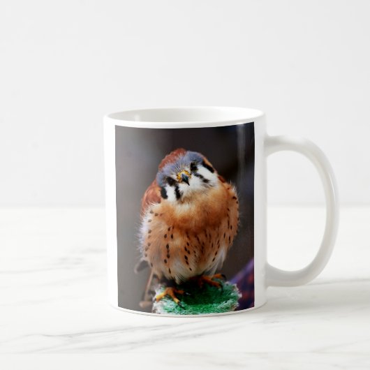 好奇心が強いKestrel コーヒーマグカップ (右)
