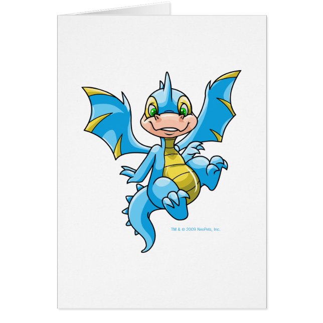 好奇心が強く青いScorchio (正面)