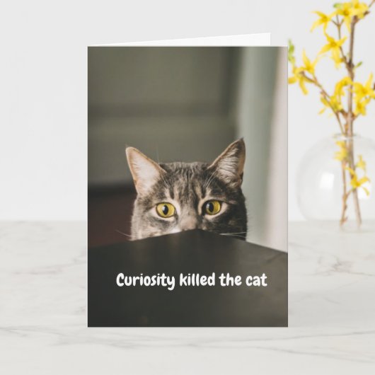 好奇心が猫を殺した カード (黄色い花)