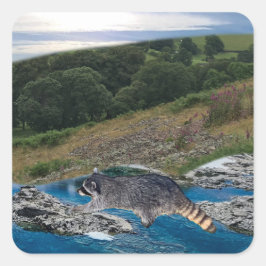 好奇心と巧妙なアライグマ正方形のステッカー スクエアシール