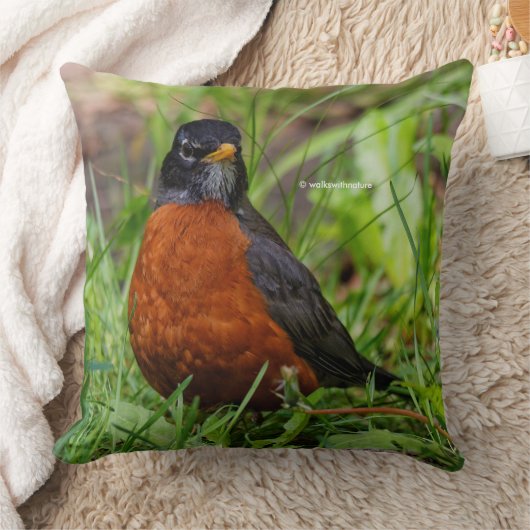 好奇心と希望に満ちたアメリカロビン クッション (ブランケット)