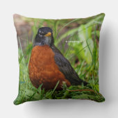 好奇心と希望に満ちたアメリカロビン クッション (裏面)