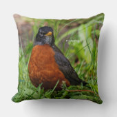 好奇心と希望に満ちたアメリカロビン クッション (正面)