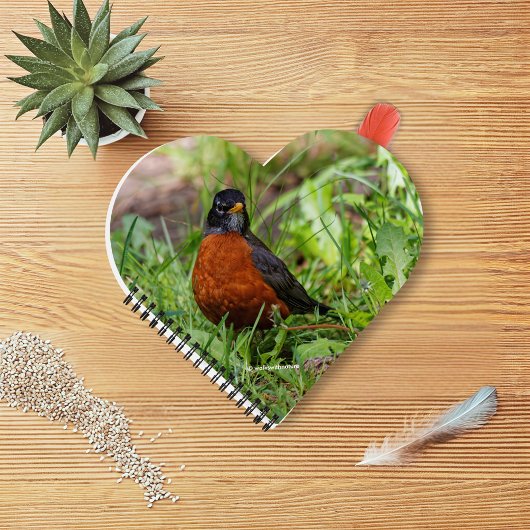 好奇心と希望に満ちたアメリカロビン ノートブック