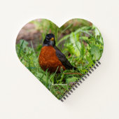 好奇心と希望に満ちたアメリカロビン ノートブック (裏面)