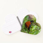 好奇心と希望に満ちたアメリカロビン ノートブック (内部)