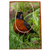 好奇心と希望に満ちたアメリカロビン ミディアムペーパーバッグ (正面)