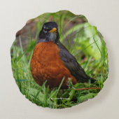 好奇心と希望に満ちたアメリカロビン ラウンドクッション (裏面)