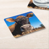 好奇心にあふれているがあっているジャージー牛 スクエアペーパーコースター (アングル)