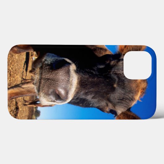 好奇心にあふれているがあっているジャージー牛 Case-Mate iPhoneケース (裏面 (横))