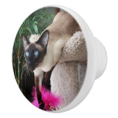 好奇心にあふれるシャム猫 セラミックノブ (右)