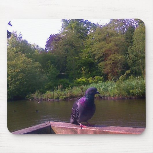 好奇心にあふれるハト マウスパッド (正面)