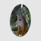 好奇心にあふれるリスザル オーナメント (正面)