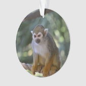 好奇心にあふれるリスザル オーナメント (正面)