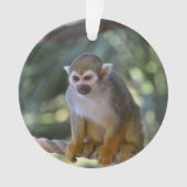 好奇心にあふれるリスザル オーナメント (正面)
