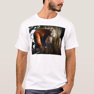 好奇心にあふれるレッサーパンダ Tシャツ