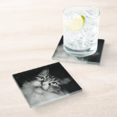 好奇心にあふれる猫の表現ガラスのコースター ガラスコースター (アングル)