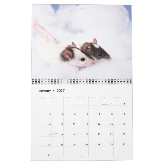 好奇心にあふれるRattyカレンダー2011年 カレンダー (1月 2027)
