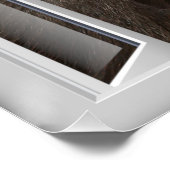 好奇心に満ちたゴリラ3Dウィンドウアート ポスター (コーナー)