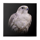 好奇心に満ちたサケルハヤブサのビネット・ポートレート タイル (正面)