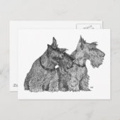 好奇心に満ちたスコットランドのテリアズペン&インクスケッチ ポストカード (正面/裏面)