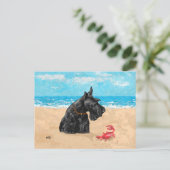 好奇心に満ちたスコットランドのビーチ ポストカード (スタンド正面)