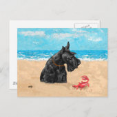 好奇心に満ちたスコットランドのビーチ ポストカード (正面/裏面)