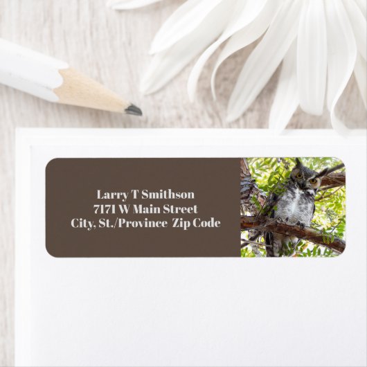 好奇心に満ちたフクロウオンブランチ ラベル (インサイチュ)