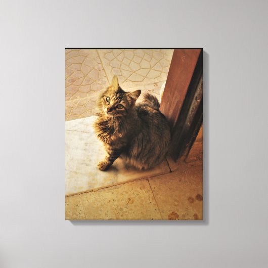 好奇心に満ちた子猫 キャンバスプリント (正面)