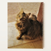 好奇心に満ちた子猫 プランナー手帳 (裏面)