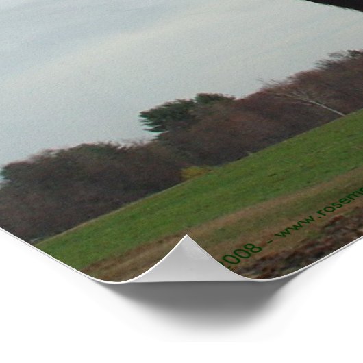 好奇心に満ちた牛2のポスター ポスター (角)