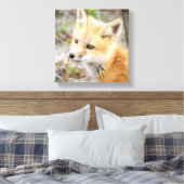好奇心に満ちた若いキツネキット キャンバスプリント (インサイチュ (寝室))