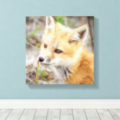 好奇心に満ちた若いキツネキット キャンバスプリント (インサイチュ (ウッドフロア))