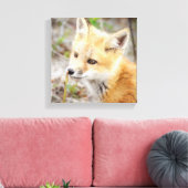 好奇心に満ちた若いキツネキット キャンバスプリント (インサイチュ (リビング))