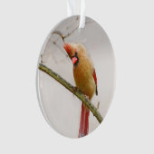 好奇心のある女性の（鳥）ショウジョウコウカンチョウオーナメント オーナメント (正面)