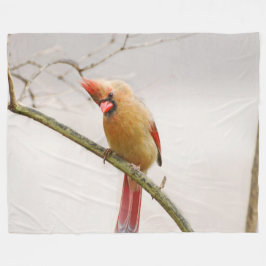 好奇心のある女性の（鳥）ショウジョウコウカンチョウフリースブランケット フリースブランケット