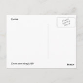 好奇心のアルパカ～ポストカード ポストカード (裏面)