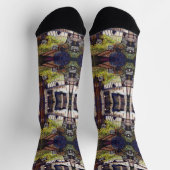 好奇心の大きさ ソックス (上部)