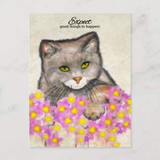 好奇心の子猫- "良い事が起こることを期待する！" ポストカード