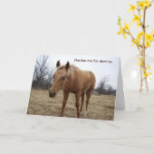 好奇心の子馬-誕生日カード カード (黄色い花)