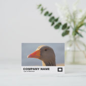好奇心の強いガチョウ 名刺 (スタンド正面)