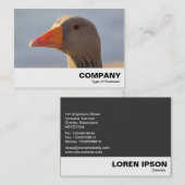 好奇心の強いガチョウ 名刺 (正面/裏面)